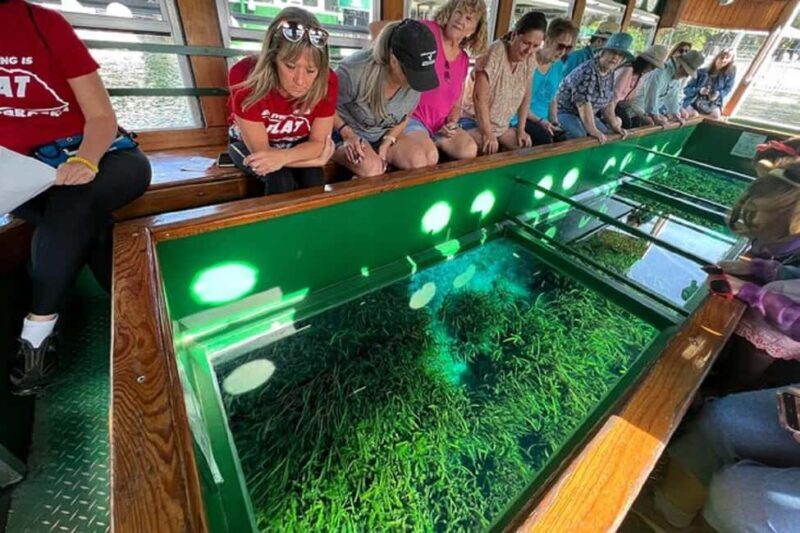 Small Group Silver Springs State Park Day Tour from Orlando - The Sum Up