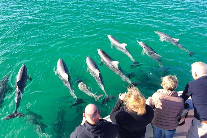 Small Group Small Group Kangaroo Island Wine Tour - The Sum Up