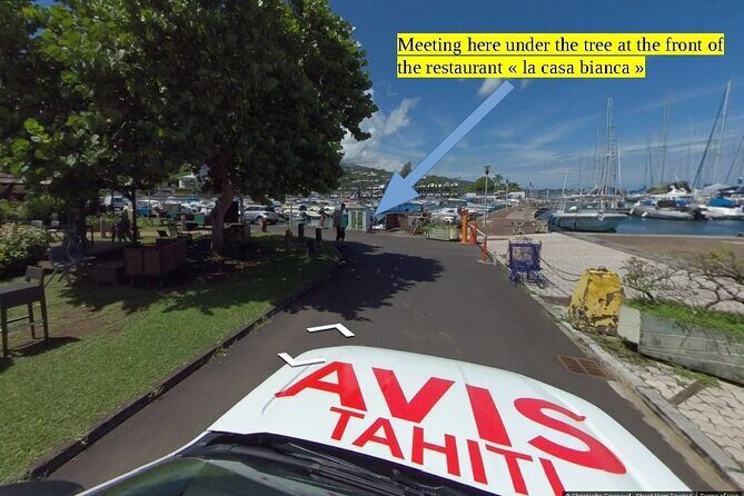 Small group snorkeling (5 people max): wrecks & tropical fishes at 1:00pm - Authentic Encounters and Genuine Reviews