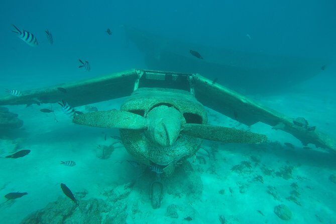 Small group snorkeling (5 people max): wrecks & tropical fishes at 10:30am - Final Thoughts: Is It Worth It?