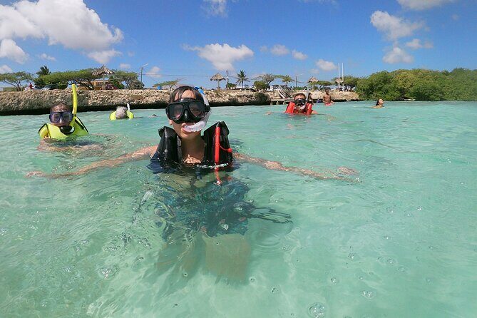 Small Group Snorkeling at Mangel Halto Aruba - Diving Into the Details: What to Expect from This Aruba Snorkeling Tour