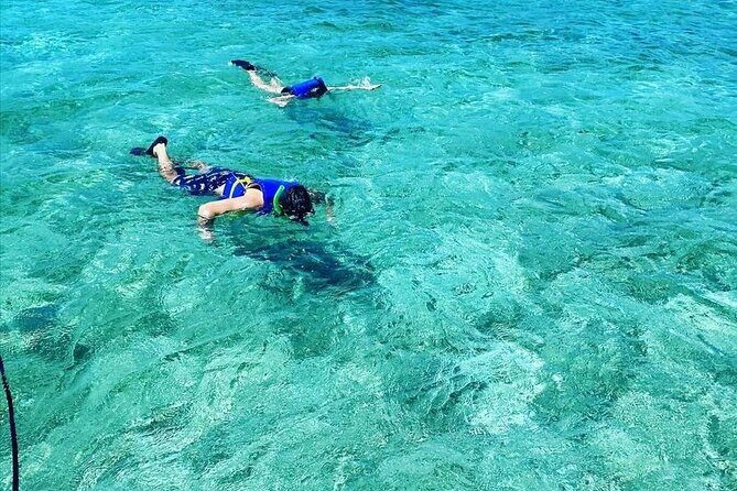 Small-Group Snorkeling Experience at Sea Garden - The Sum Up: Who Should Book This Tour?