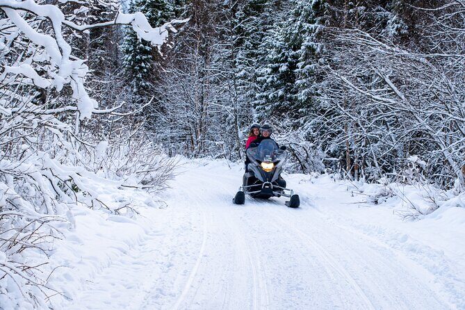 Small-Group Snowmobile Experience in Rovaniemi - The Sum Up