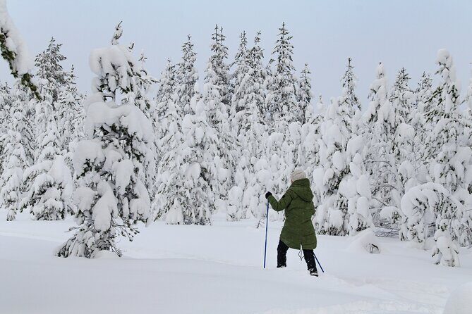 Small-Group Snowshoeing Adventure In Lapland - Experience the Magic of Lapland on a Small-Group Snowshoeing Adventure