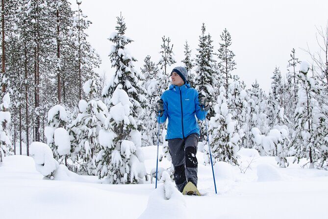 Small-Group Snowshoeing Adventure In Lapland - In-Depth Review of the Snowshoeing Adventure