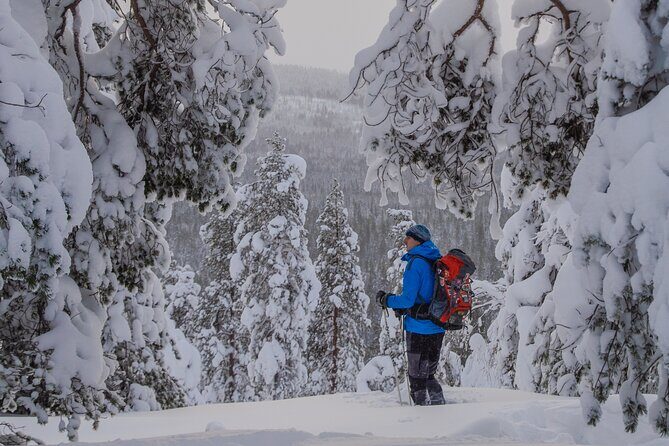 Small-Group Snowshoeing Adventure In Lapland - FAQs