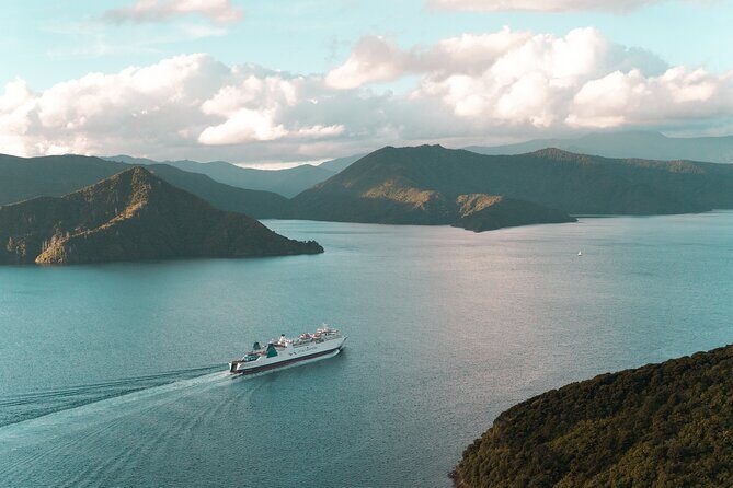 Small Group Southern Loop 7 Days Tour - Small Group Southern Loop 7 Days Tour: An Authentic Kiwi Adventure