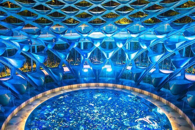 (Small Group) Starry Night Singapore Sentosa Tour - Why Is This Tour a Great Choice?