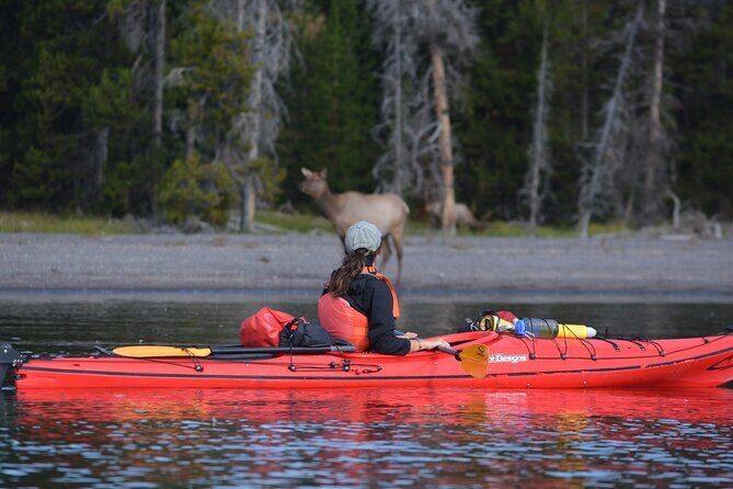 Small-Group Sunset Kayaking Tour on Lake Yellowstone - Frequently Asked Questions