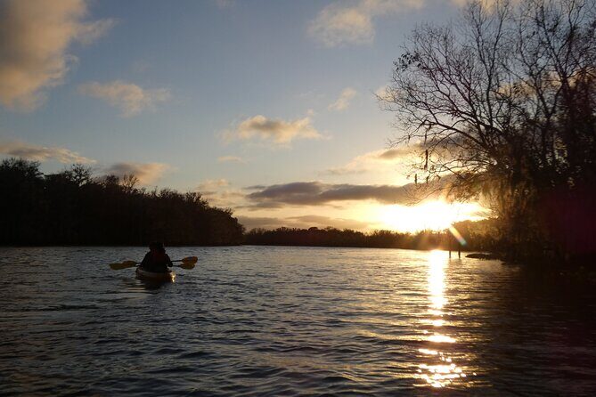 Small Group Sunset Paddle Among Manatees near Orlando - Small Group Sunset Paddle Among Manatees near Orlando