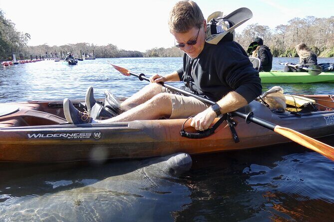 Small Group Sunset Paddle Among Manatees near Orlando - Key Points