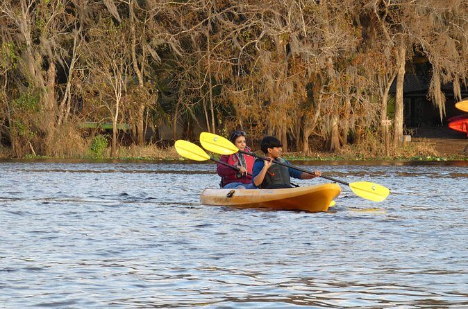 Small Group Sunset Paddle Among Manatees near Orlando - The Sum Up