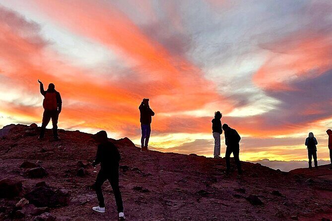 Small Group Teide National Park Volcanic and Forest Wonders - An Authentic Dive into Tenerife’s Volcanic Landscape