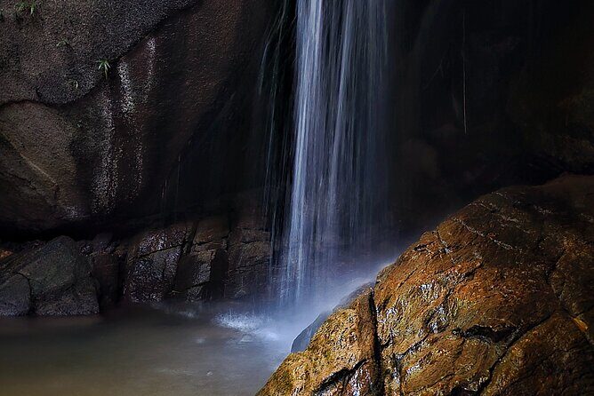 Small-Group Tijuca Forest Guided Tour - A Deep Dive into the Tijuca Forest Guided Tour