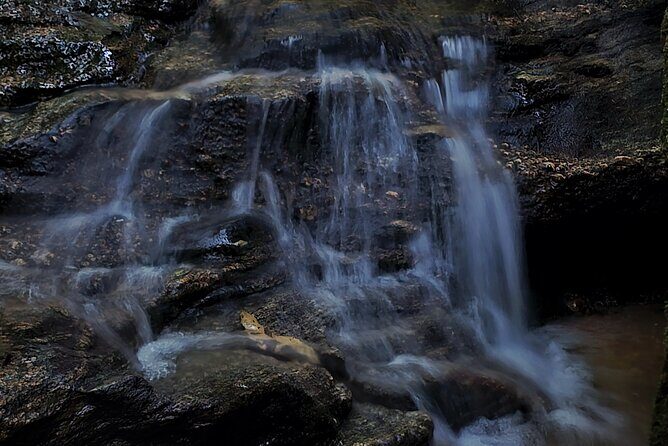 Small-Group Tijuca Forest Guided Tour - The Sum Up