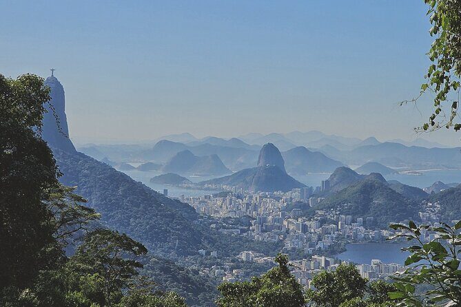Small-Group Tijuca Forest Guided Tour - Small-Group Tijuca Forest Guided Tour: An Authentic Rio Nature Escape