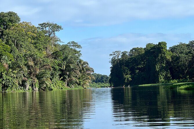 Small Group Tortuguero National Park Canoe Tour - Key Points