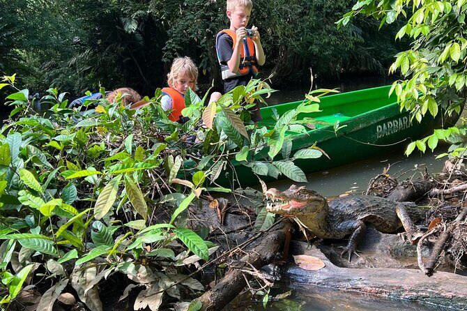 Small Group Tortuguero National Park Canoe Tour - Who Is This Tour Best Suited For?