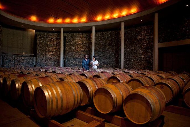 Small-Group Tour at Matetic Vineyard in Rosario Valley from Santiago - Final Thoughts