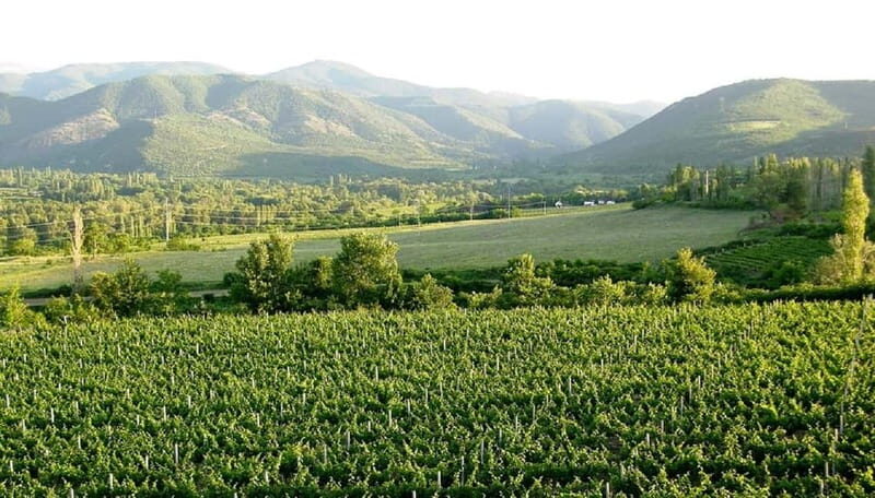 Small Group Tour; Best of North Macedonia in Eight Days - Frequently Asked Questions