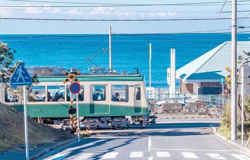 Small group tour for 9 people | One-day tour of Kamakura and Enoshima | Includes Enoden experience & Enoshima & Kamakurakoko-mae Station & Kamakura Great Buddha & Tsurugaoka Hachimangu Shrine | Round trip from Tokyo | Hotel pick-up and drop-off + Chinese - A coastal day without the train-planning chore