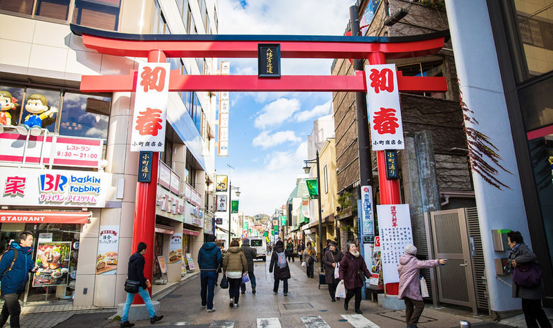 Small group tour for 9 people | One-day tour of Kamakura and Enoshima | Includes Enoden experience & Enoshima & Kamakurakoko-mae Station & Kamakura Great Buddha & Tsurugaoka Hachimangu Shrine | Round trip from Tokyo | Hotel pick-up and drop-off + Chinese - Is this Kamakura and Enoshima trip right for you?