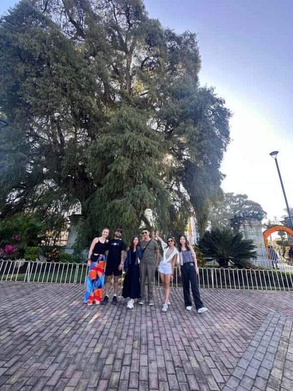 Small group tour: Hierve el Agua, Mezcal, Textiles, and the Tule tree - Key Points