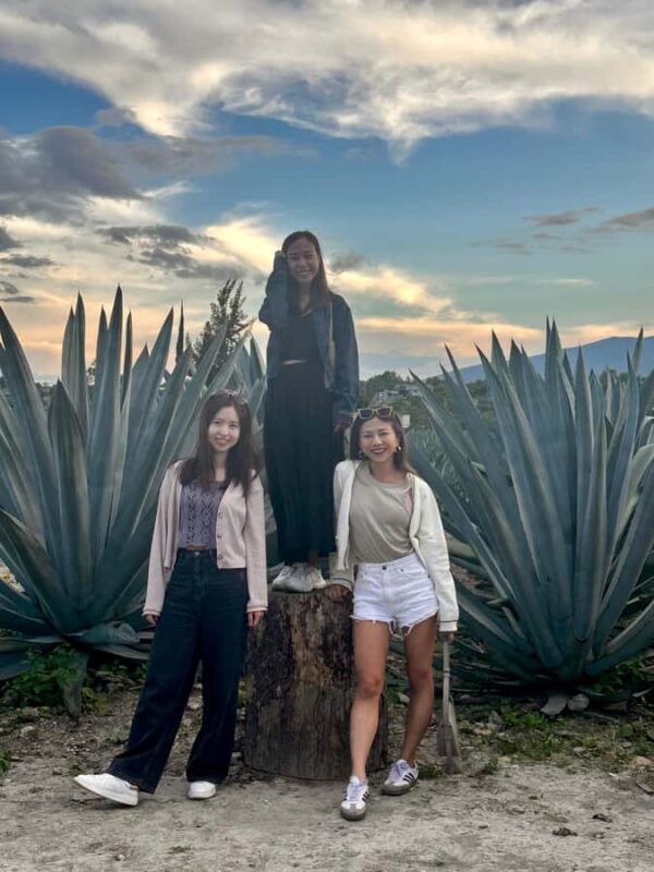 Small group tour: Hierve el Agua, Mezcal, Textiles, and the Tule tree - Who Will Love This Tour?