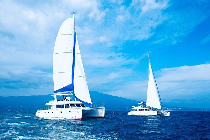 Small Group Tour in South Jeju including Yacht, Falls & Mt.Halla - Small Group Tour in South Jeju including Yacht, Falls & Mt. Halla
