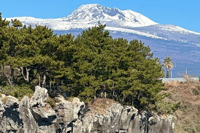 Small Group Tour in South Jeju including Yacht, Falls & Mt.Halla - Key Points