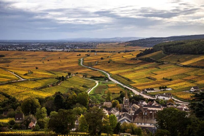 Small group tour Morning in Côte de Beaune - Analyzing the Value