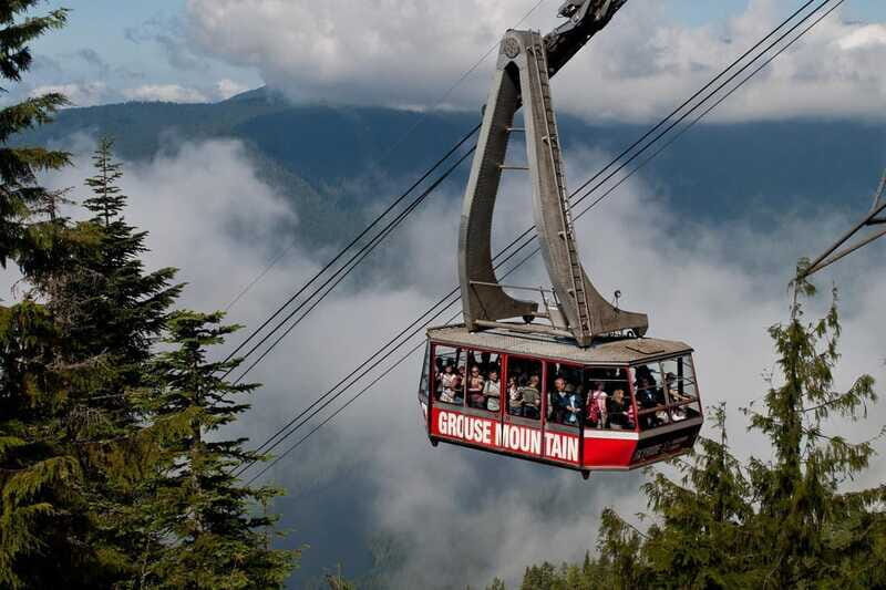 Small group tour of Capilano Bridge & Grouse Mountain - Who Will Love This Tour?