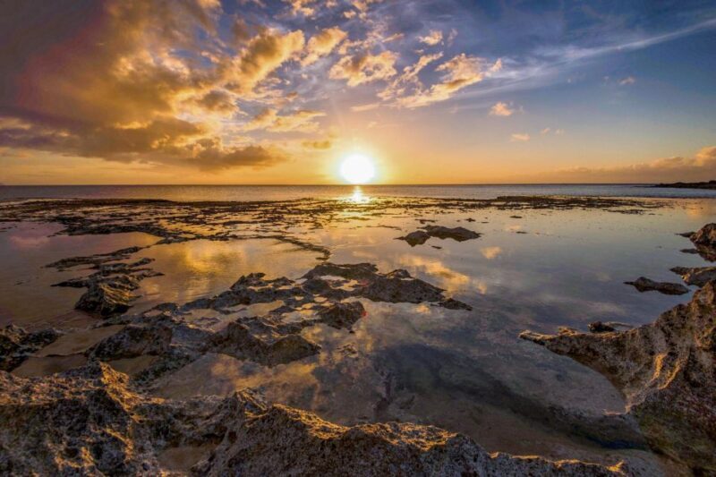 Small Group Tour of Honolulu Scenic Vistas with Sunset - Who Will Love This Tour?