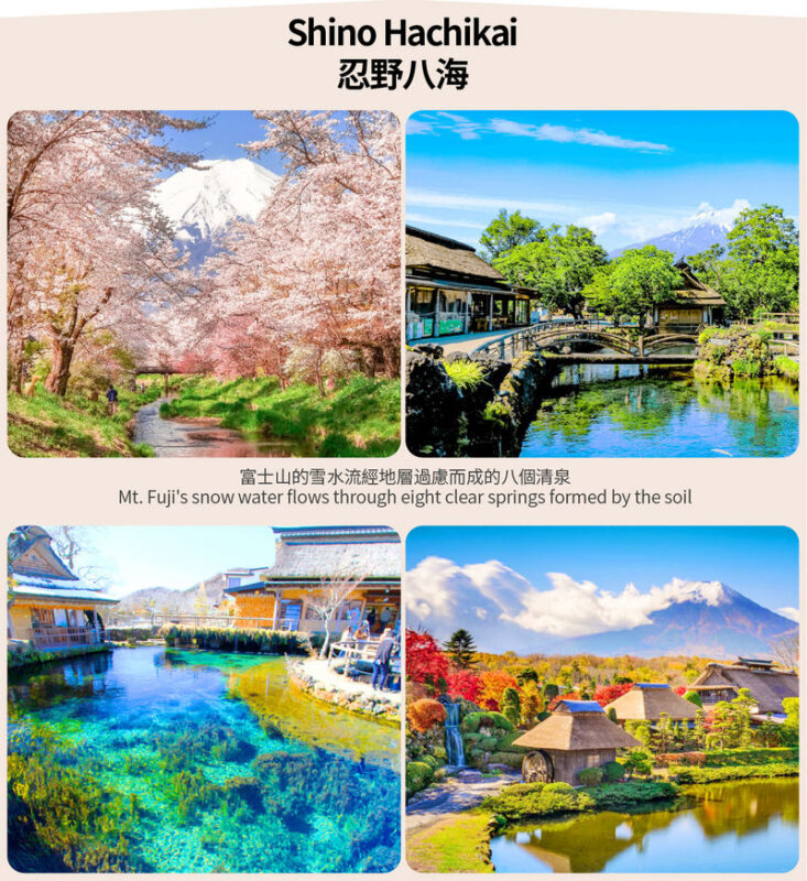 Small Group Tour of Tokyo, Mount Fuji, and Lake Yamanaka (including cycling) - Oshino Hakkai and Kawaguchiko: two more chances to see the region
