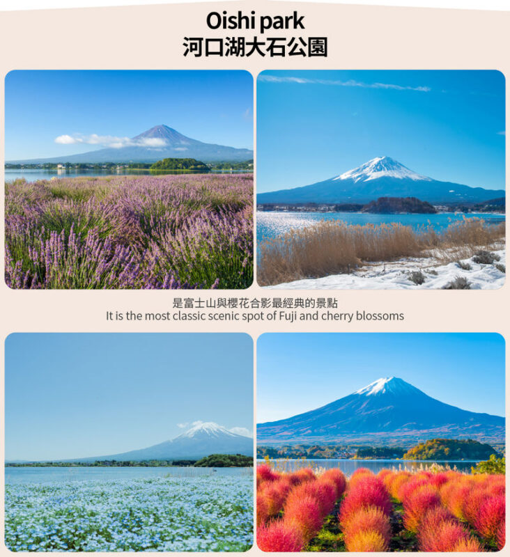 Small Group Tour of Tokyo, Mount Fuji, and Lake Yamanaka (including cycling) - The Fuji viewpoint: Sengen Park or the Hikawa area