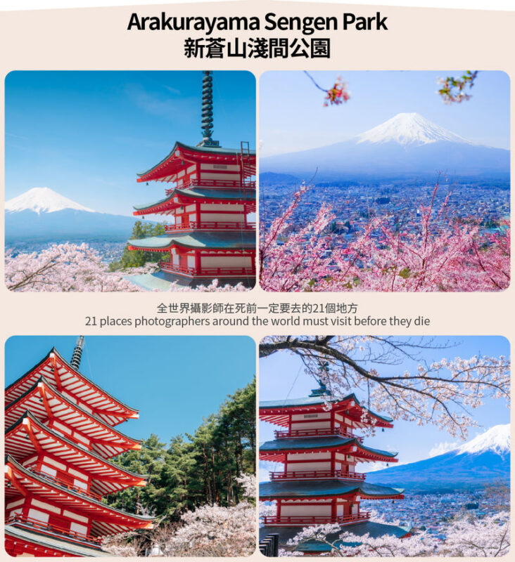 Small Group Tour of Tokyo, Mount Fuji, and Lake Yamanaka (including cycling) - Who should choose this tour?