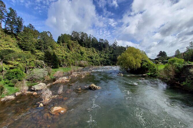 Small Group Tour To Karangahake Gorge & Waihi Gold Exploration - The Tour in Detail