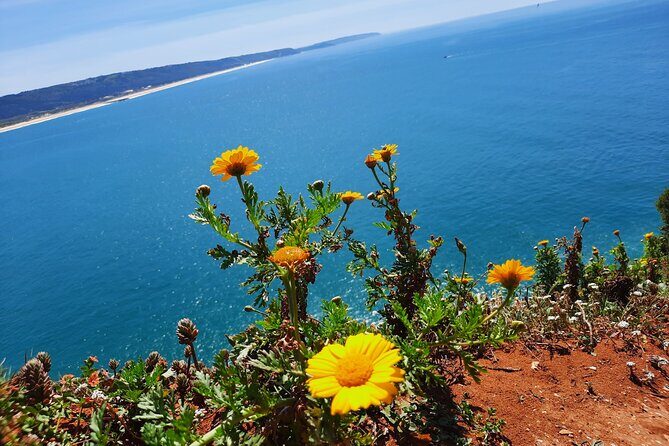 Small Group Tour to Nazaré and Obidos from Lisbon - Key Points