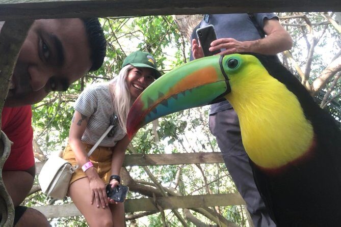 Small group tour to the Aviary from Cartagena - An In-Depth Look at the Tour Experience