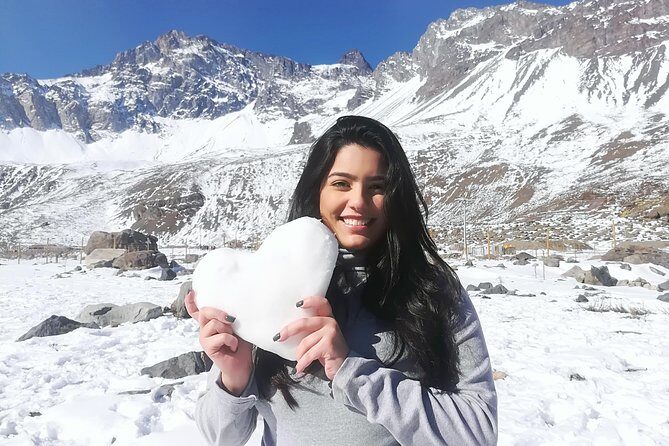 Small-Group Tour: Valle Nevado and Farellones from Santiago - Who Is This Tour Best For?