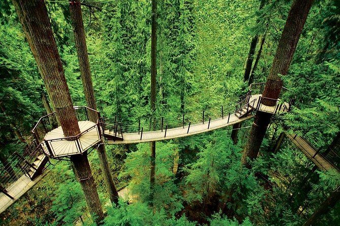 Small Group Tour: Vancouver Sightseeing and Capilano Suspension Bridge - Crossing the Lions Gate Bridge and the Natural Marvel of Capilano