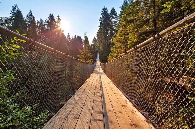 Small Group Tour: Vancouver Sightseeing and Capilano Suspension Bridge - Potential Drawbacks