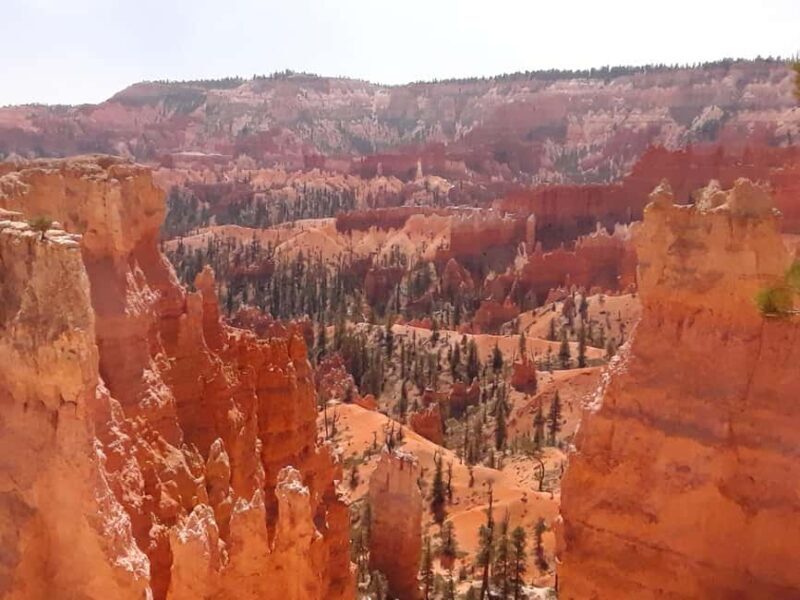 Small Group Tour Zion & Bryce Canyon National from Las Vegas - Why This Tour Works Well