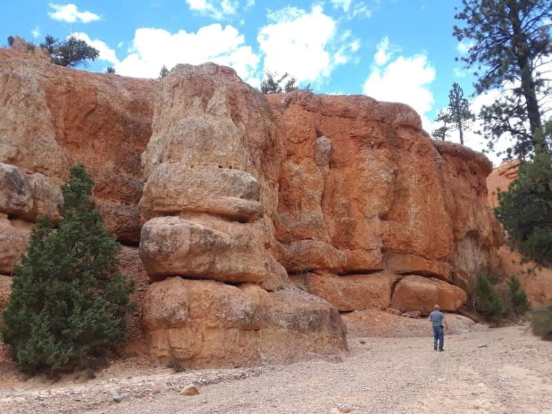 Small Group Tour Zion & Bryce Canyon National from Las Vegas - Final Thoughts