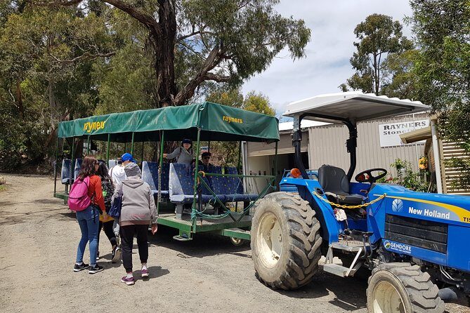 Small-Group Tractor Tour at Rayners Orchard from Melbourne - An Honest Breakdown of the Rayners Orchard Tractor Tour Experience