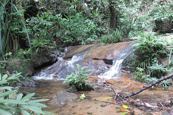Small Group : Trekking Trip in Chiang Mai (Doi Suthep Area) with Market Tour - Key Points