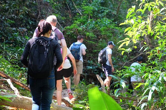 Small Group : Trekking Trip in Chiang Mai (Doi Suthep Area) with Market Tour - Why This Tour Works Well