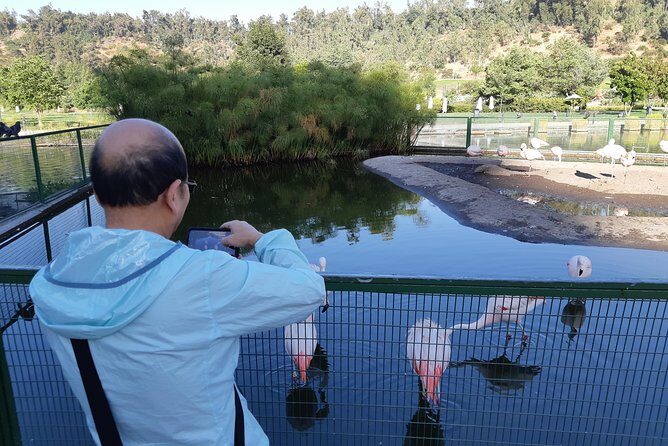 Small group trf from Valparaiso or S.Antonio+Tour in Santiago - FAQ