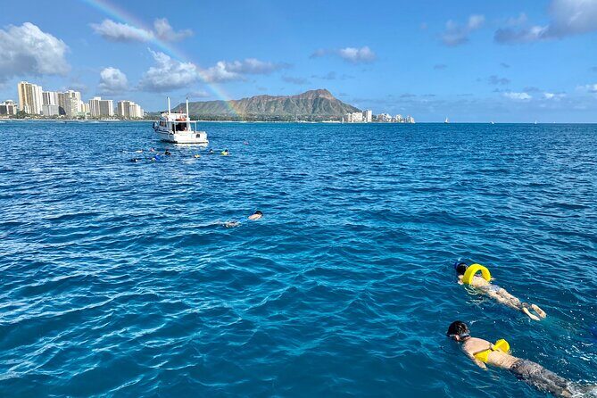 Small Group Turtle Canyon Snorkel in Waikiki - Key Points