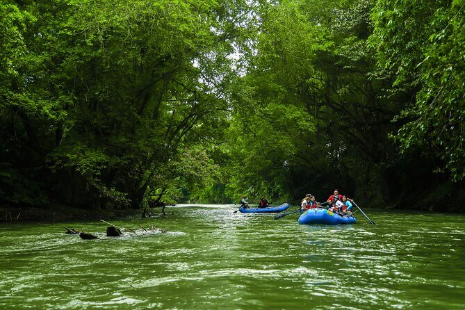 Small Group Twilight Wildlife Boat Tour in La Fortuna - FAQ